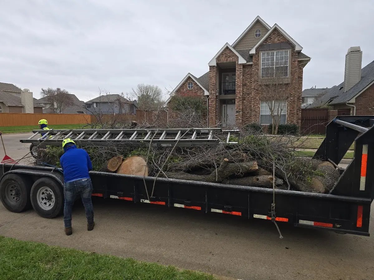 Expert Tree Fertilization with proper safety equipment in Bondurant